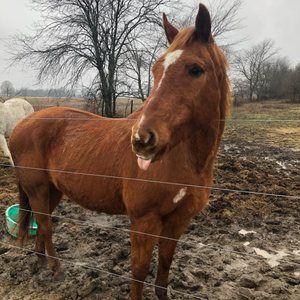 Meet your Posher, Tyler